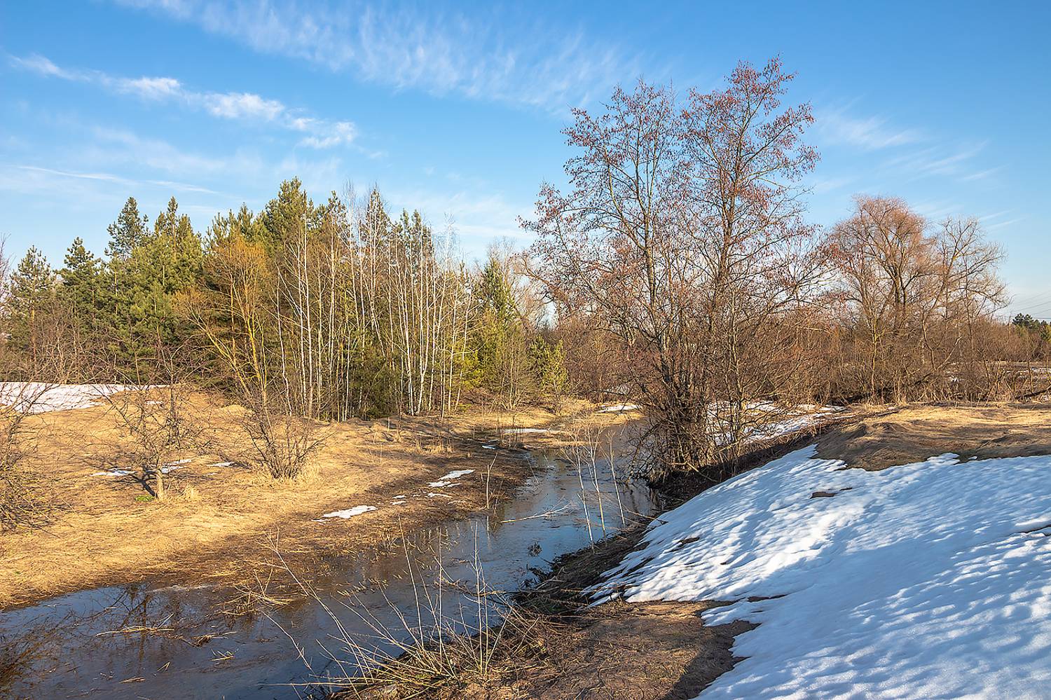 Автор: Востриков Руслан весна, половодье, лес, ручей,, Востриков Руслан