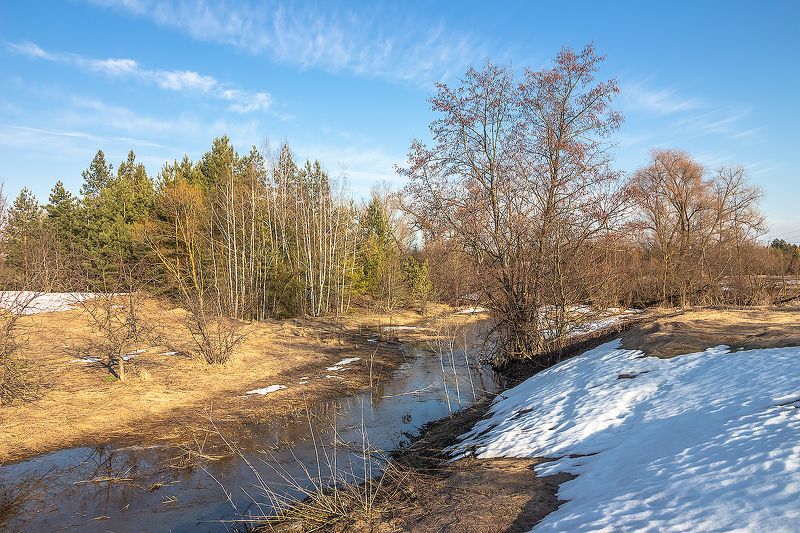 весна, половодье, лес, ручей, photo preview