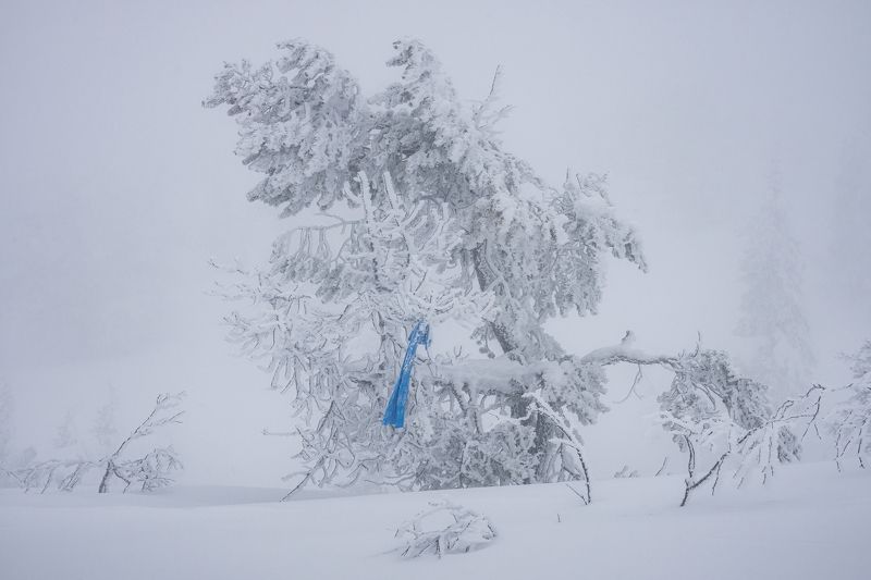 кандалакша, волосяная сопка, зима, снег. Забытый шарфикphoto preview