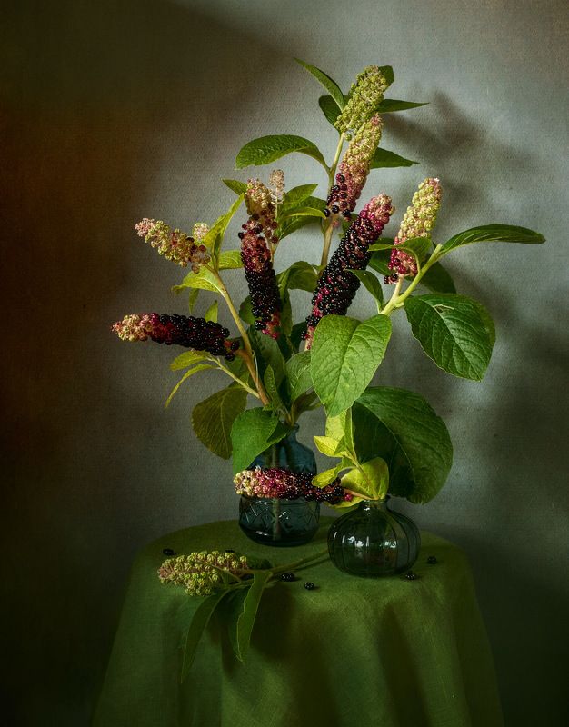 Фитолаккаphoto preview