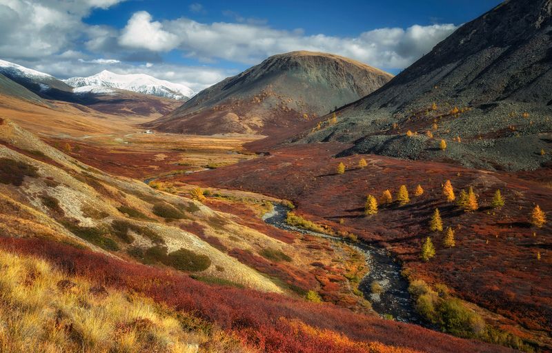 горный алтай,сентябрь2023,река джазатор,долина,лиственицы,карликовая берёзка Палитра сентября...photo preview