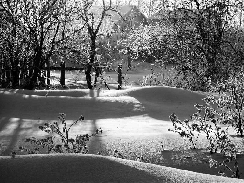 зима, сугробы, снег, свет, тень, чб Зимой в садуphoto preview