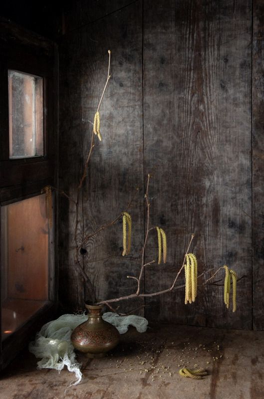 весна, тепло, аромат, запах весны, веточка, натюрморт Запахло веснойphoto preview