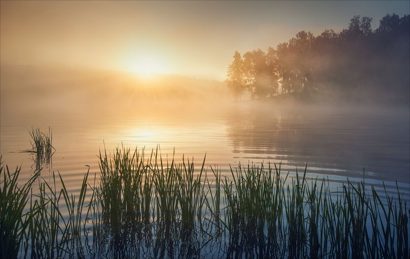 Немного летаphoto preview