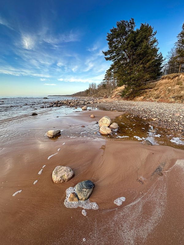 Мартовский деньphoto preview