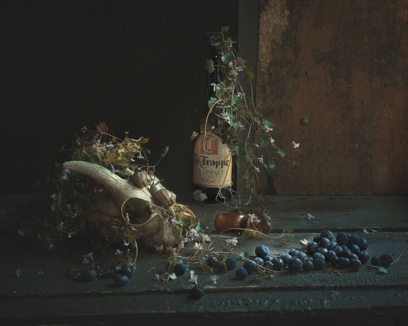 Vanitasphoto preview