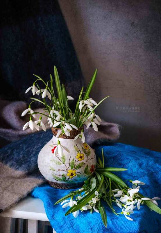 Snowdrops 3photo preview