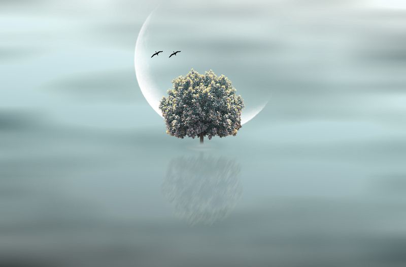 Humming a melodyphoto preview