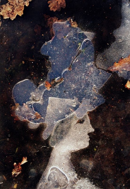 pareidolia Женщина в шляпе. (замёрзшая лужа)photo preview