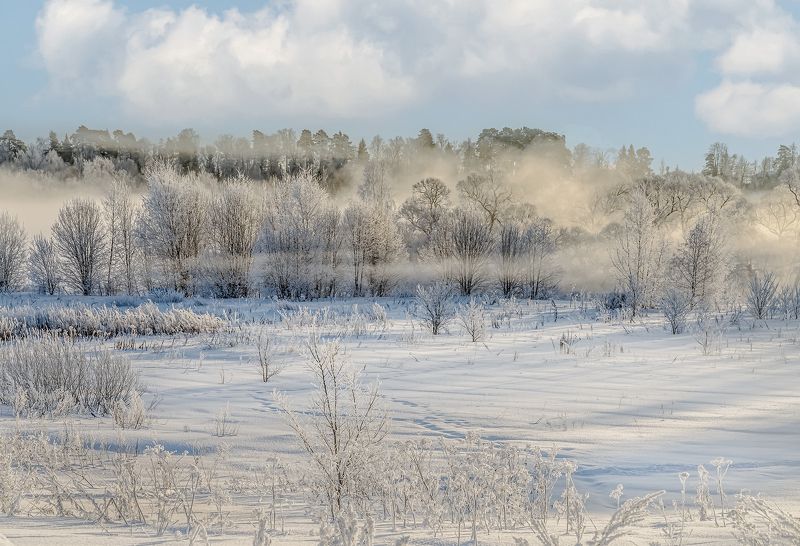 Утро туманное но яркое!photo preview