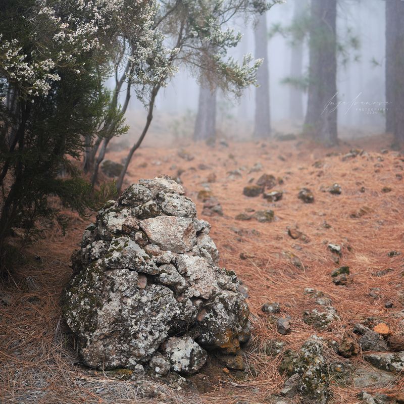 Teide, Canary Islands Tenerifephoto preview