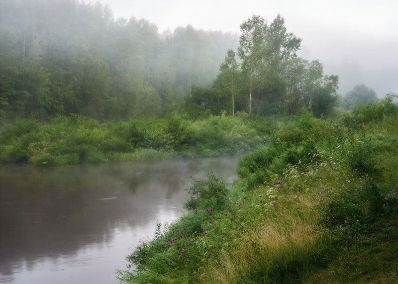 лето, утро, раннее, туман, река, речка, вода, берега, быстрица Тайны маленькой рекиphoto preview