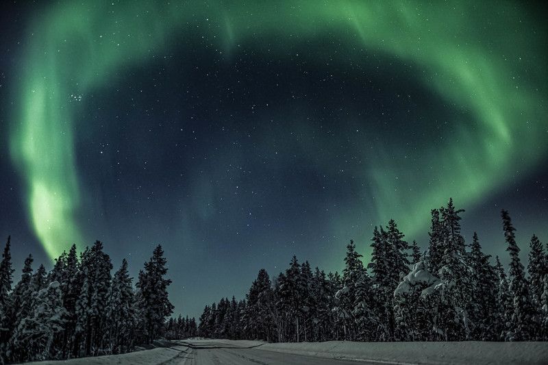 Ворота в Арктикуphoto preview