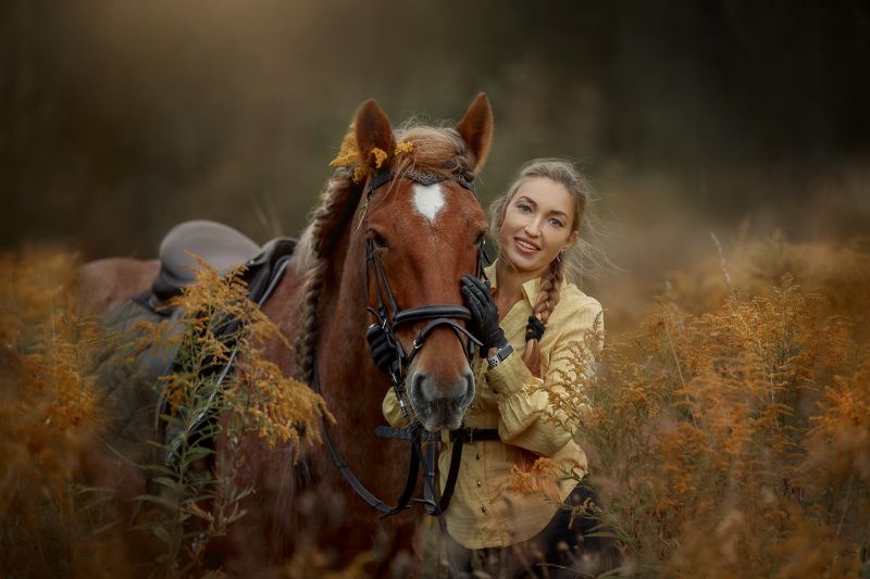 Золотарникphoto preview