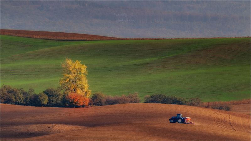 южная моравия,пейзаж,линии,south moravian,lines,свет,czech,осень,чехия,landscapes,nature,agriculture,rural Wavy autumn fields фото превью