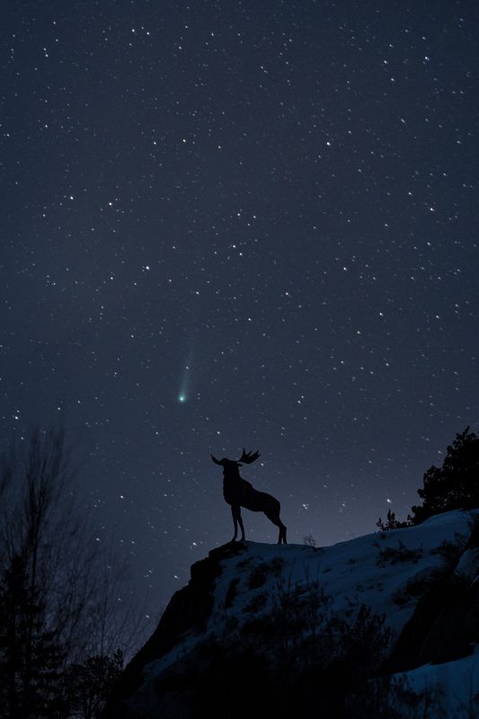 комета, понса-брукса, pons-brooks, космос, урал Где-то в космосе летит...photo preview