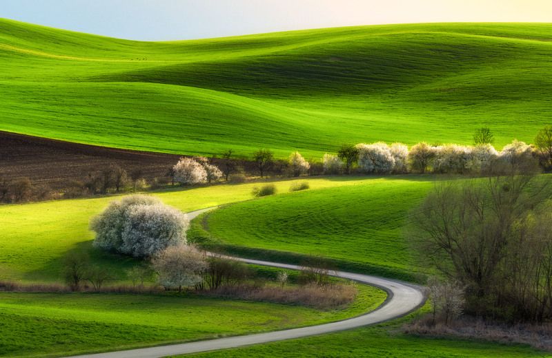 spring, moravia, sony, bloom, trees, czech, bohemia, field, tuscany, green, grass photo preview