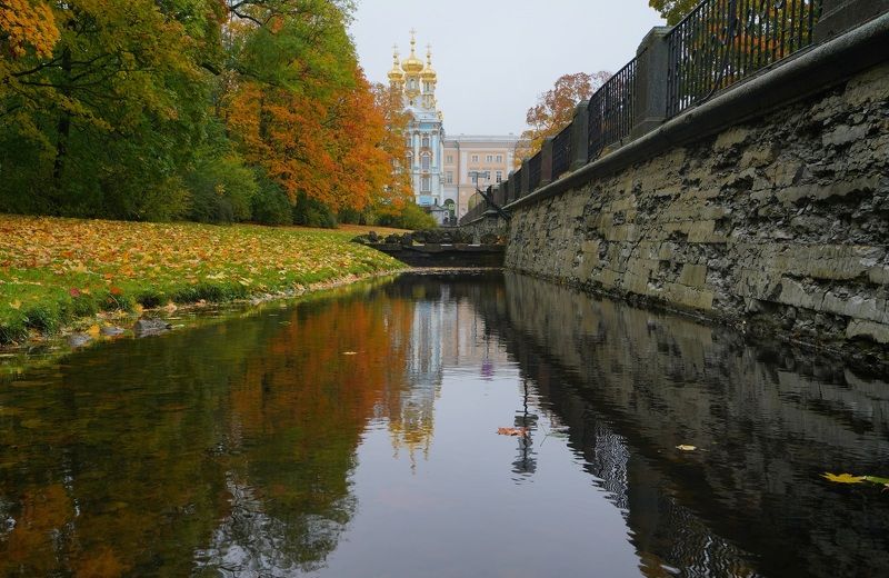 Morningphoto preview