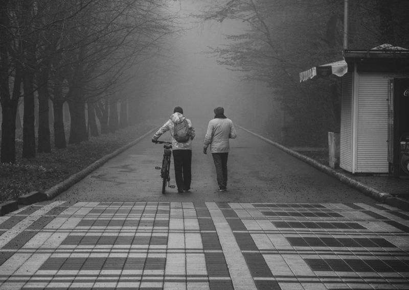 Двое в паркеphoto preview