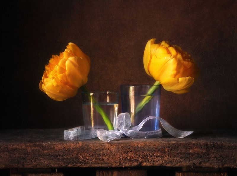 тюльпаны Солнечная параphoto preview