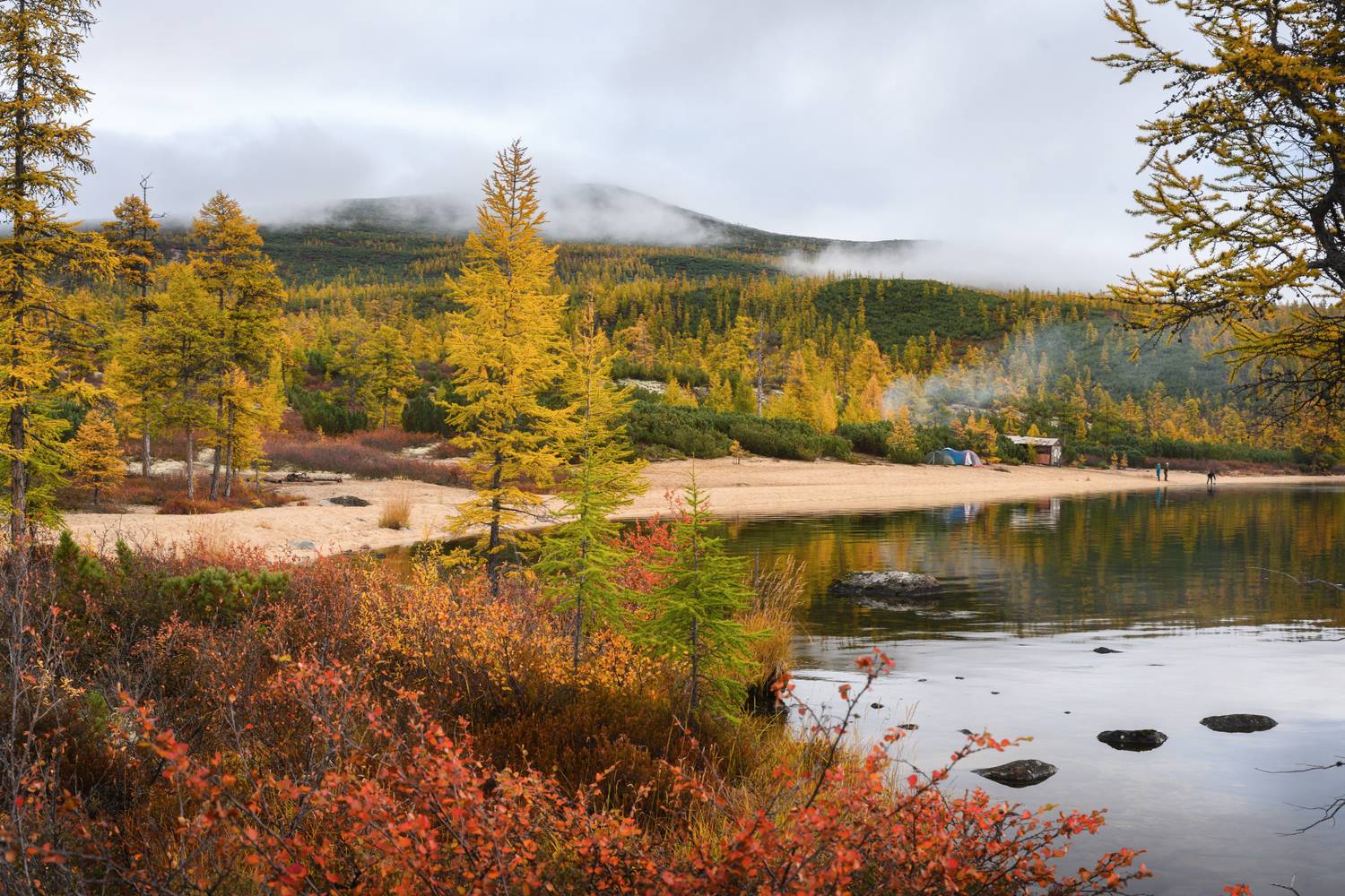 колыма, коса биологов ,озеро джека лондона, золотая осень, магаданская область, Юлия Лаптева