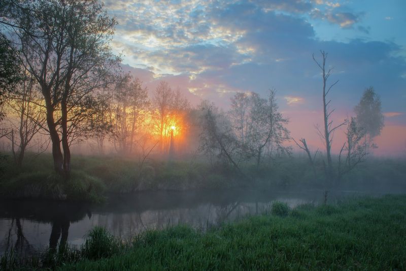 ********photo preview