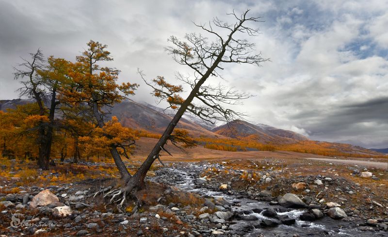 Осенний Алтайphoto preview