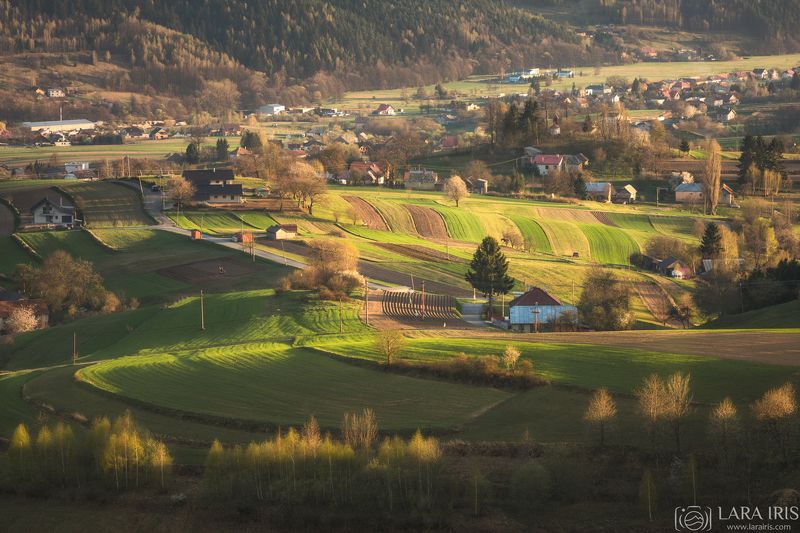 Весеннееphoto preview