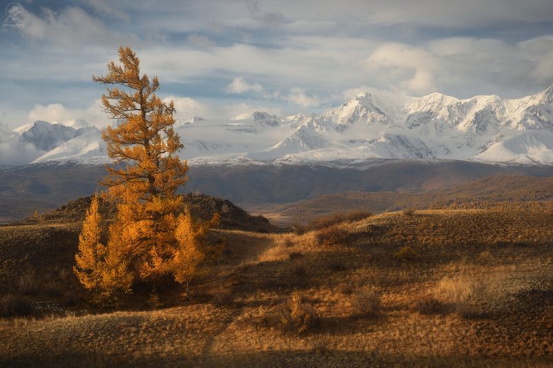 алтай, фототур по алтаю, осень, горы, горный алтай, республика алтай, курай КЛАССИКА АЛТАЯphoto preview