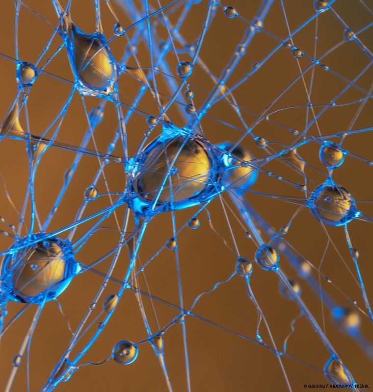 liquid, water, macro, drops, web drops and spider web фото превью