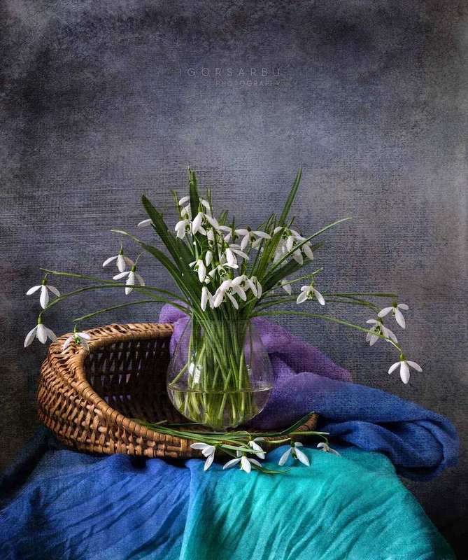 Snowdrops 2photo preview