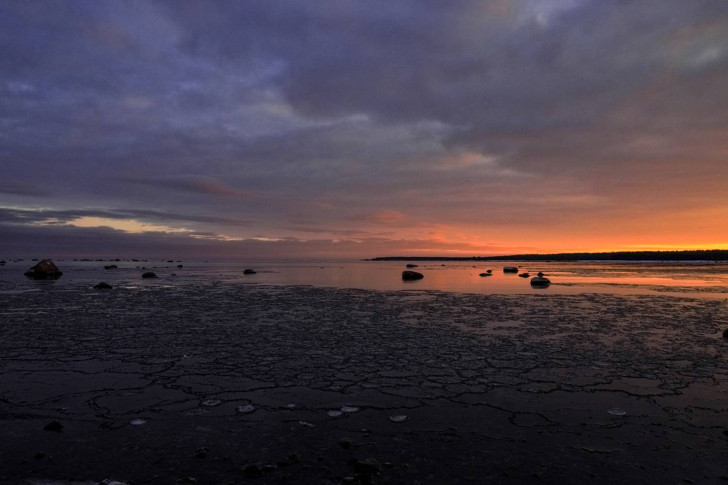 , Елена Герасимова