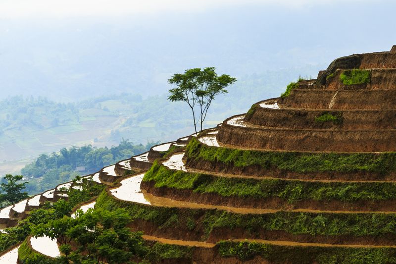 The filling water seasonphoto preview