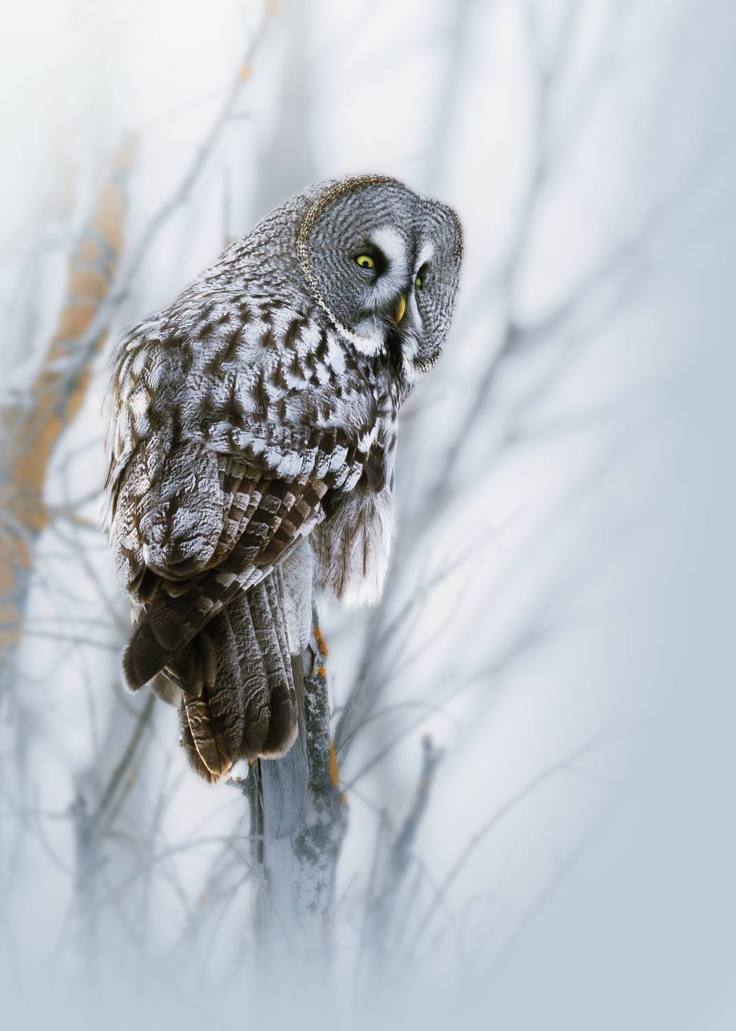 , Гильманов Артур