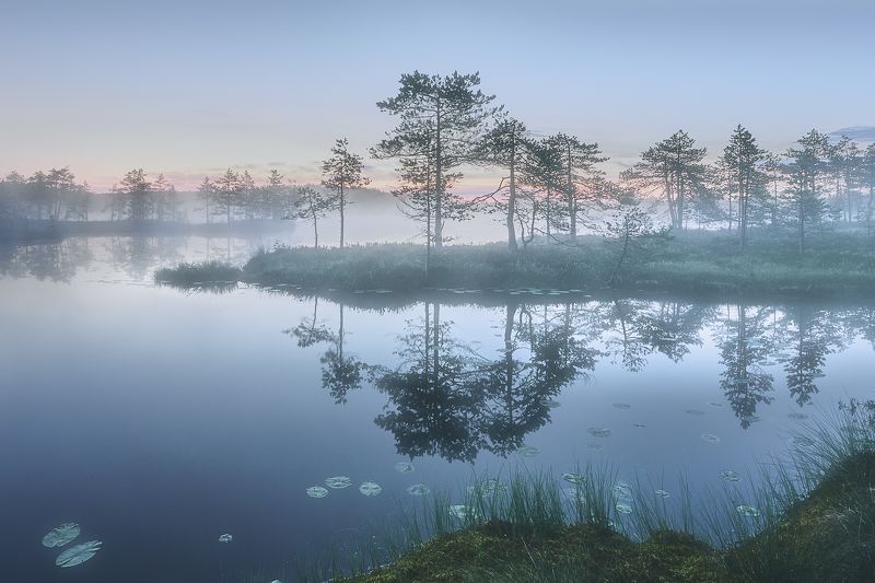 утроphoto preview