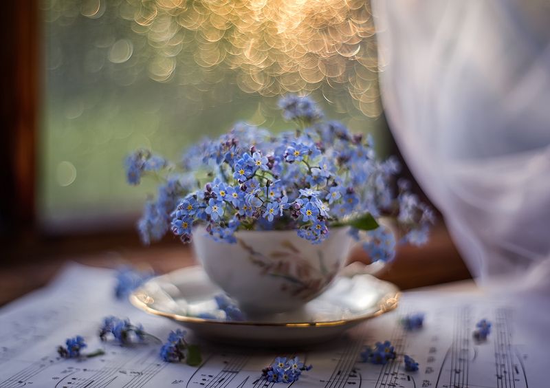 Улетающий день...photo preview