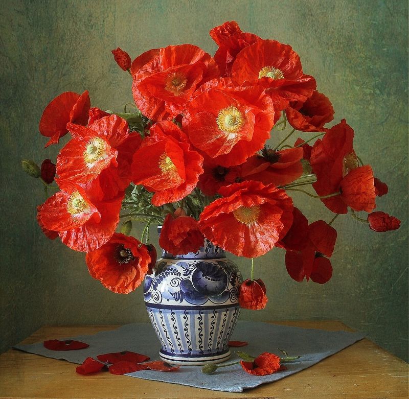 натюрморт, цветы, маки, лето, марина филатова *** фото превью