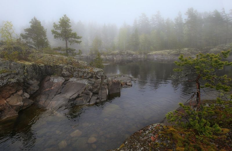 Ладога, Карелия Туманное утро на Ладожских шхерах фото превью