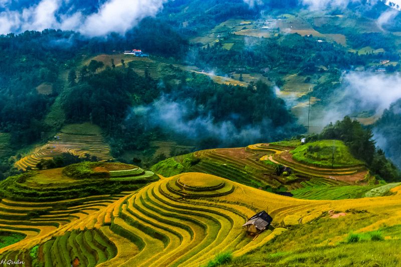 The fields In The fogphoto preview