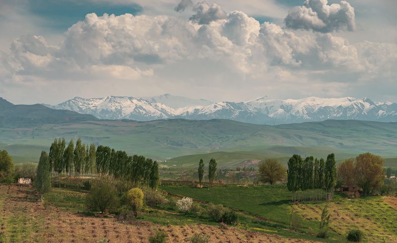 узбекистан, чимган, uzbekistan, chimgan Весенний вайбphoto preview