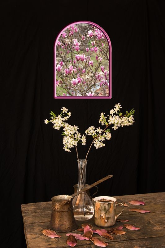 blossom, blossoms, coffee, collage, color, colors, concept, conceptual, digital, digital art, editing, magnolia, nature, photo collage, photography, sour cherry, still life, Afternoon Coffeephoto preview
