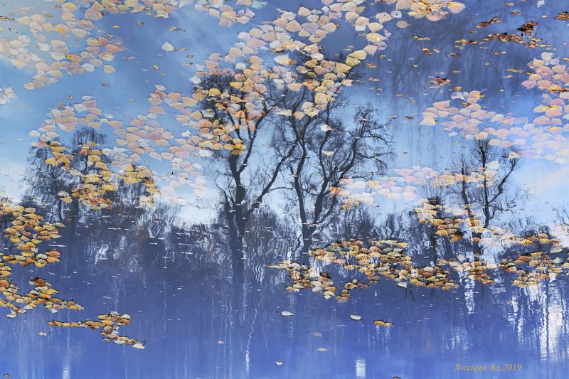 Отражение фото превью