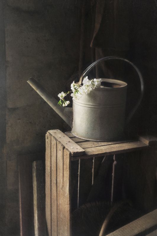 Апрельские мотивыphoto preview