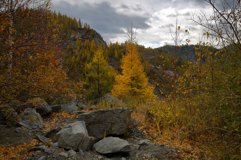 осенний Чике-Таман фото превью