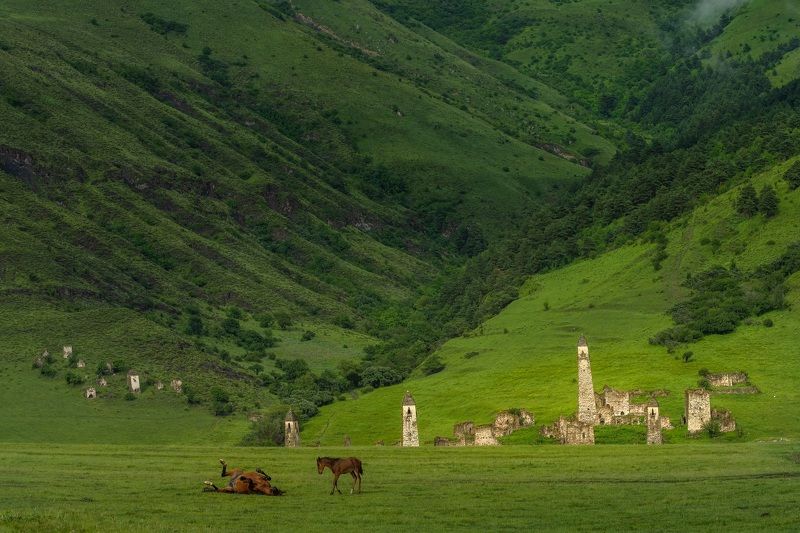 ингушетия, башенные комплексы, лошади Ингушские мотивы (2)photo preview