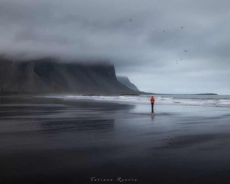 Скалы, океан, птицы......photo preview