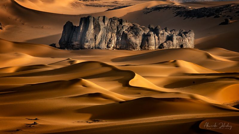 сахара Wan Tabaraket фото превью