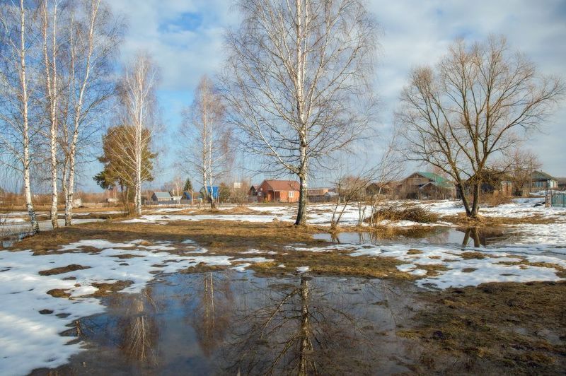 весна серково разлив околица март О прозрачности весенней природыphoto preview