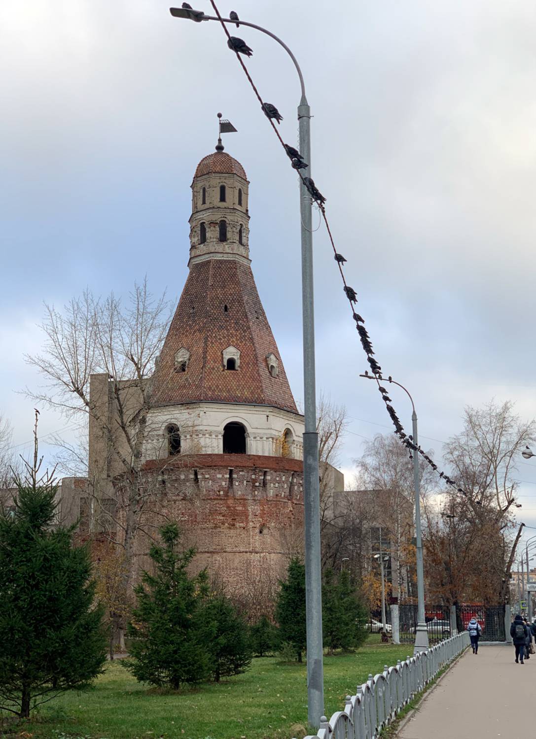 , Ольга Новикова