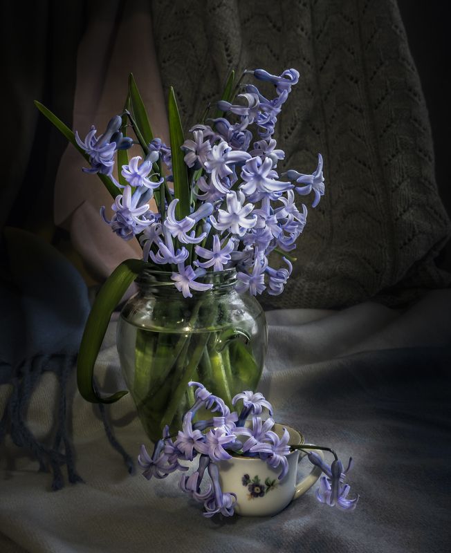Spring, Flowers, Blue color, Still life photo preview